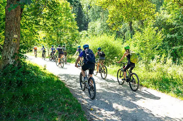 cycling-mary-valley-imbil-state-forest