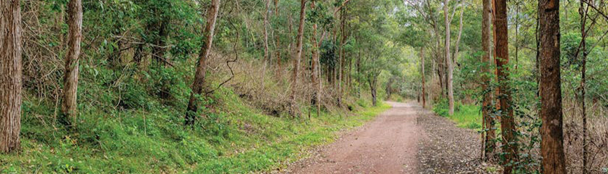 mary-valley-rail-trail-conditions