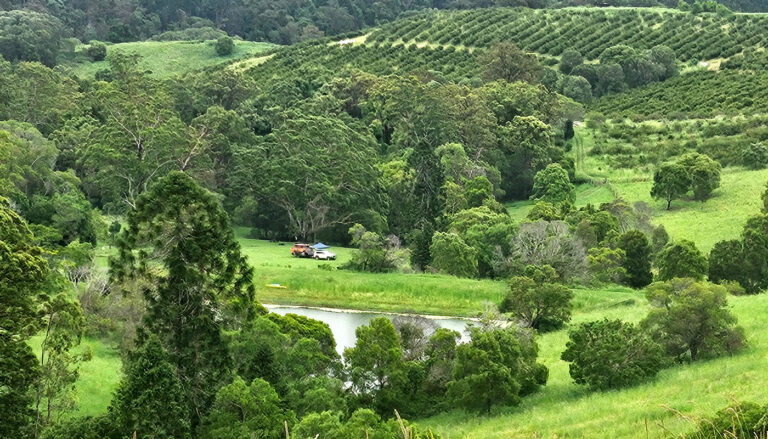 Bunya-Grove-Mary-Valley-Accommodation
