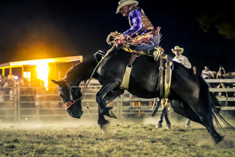 bull-broncs-barrels-event-mary-valley