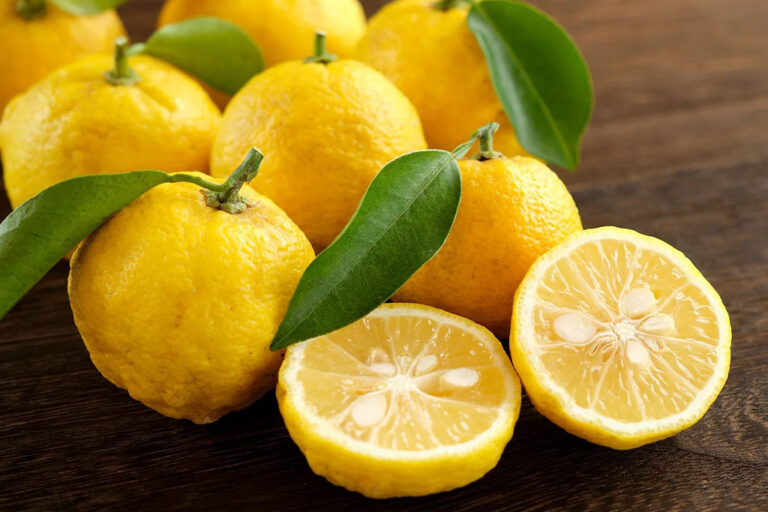 MARY-VALLEY-yuzu-fruits
