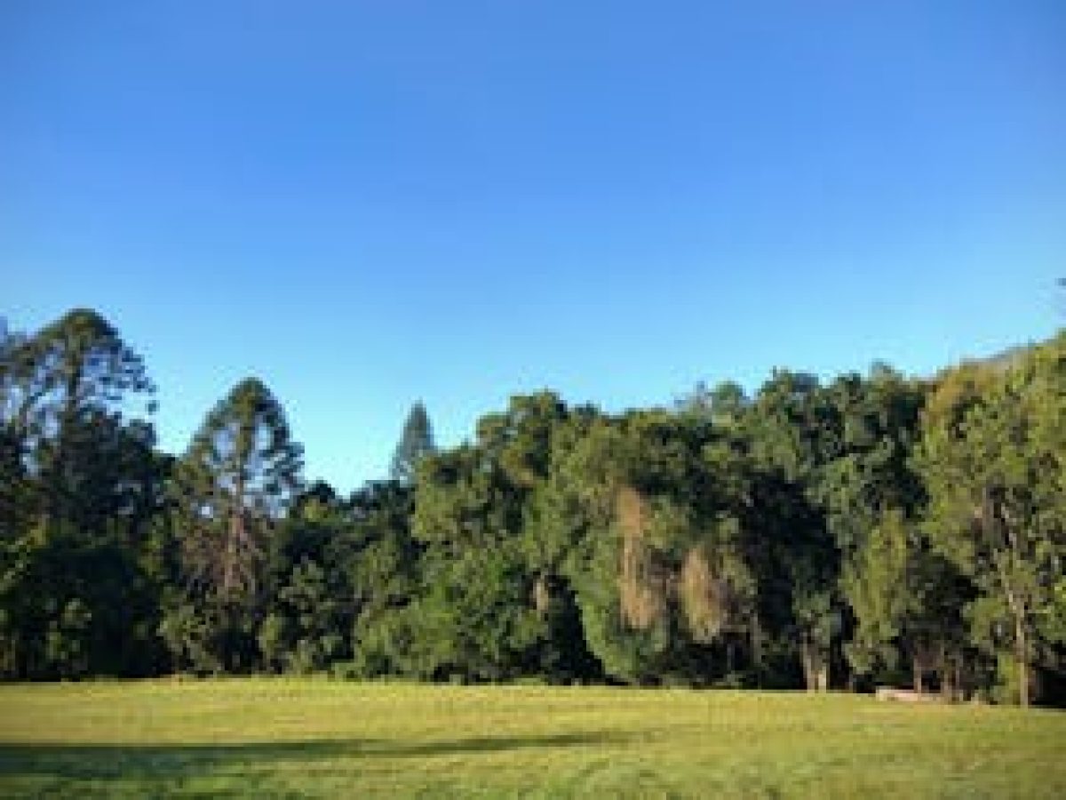 Amamoor Creek Camping Retreat