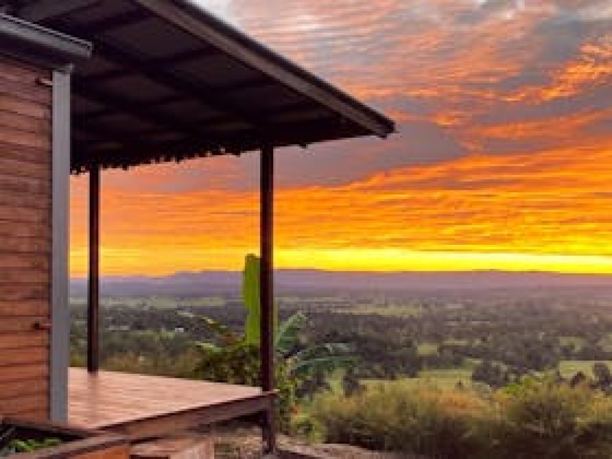 The Avocado Tree Farm - Claudine