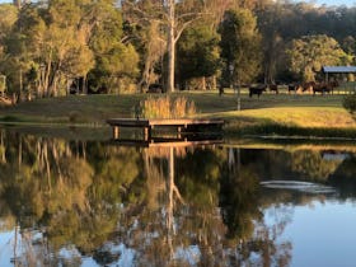 Woollahra Homestead - Farm Stay