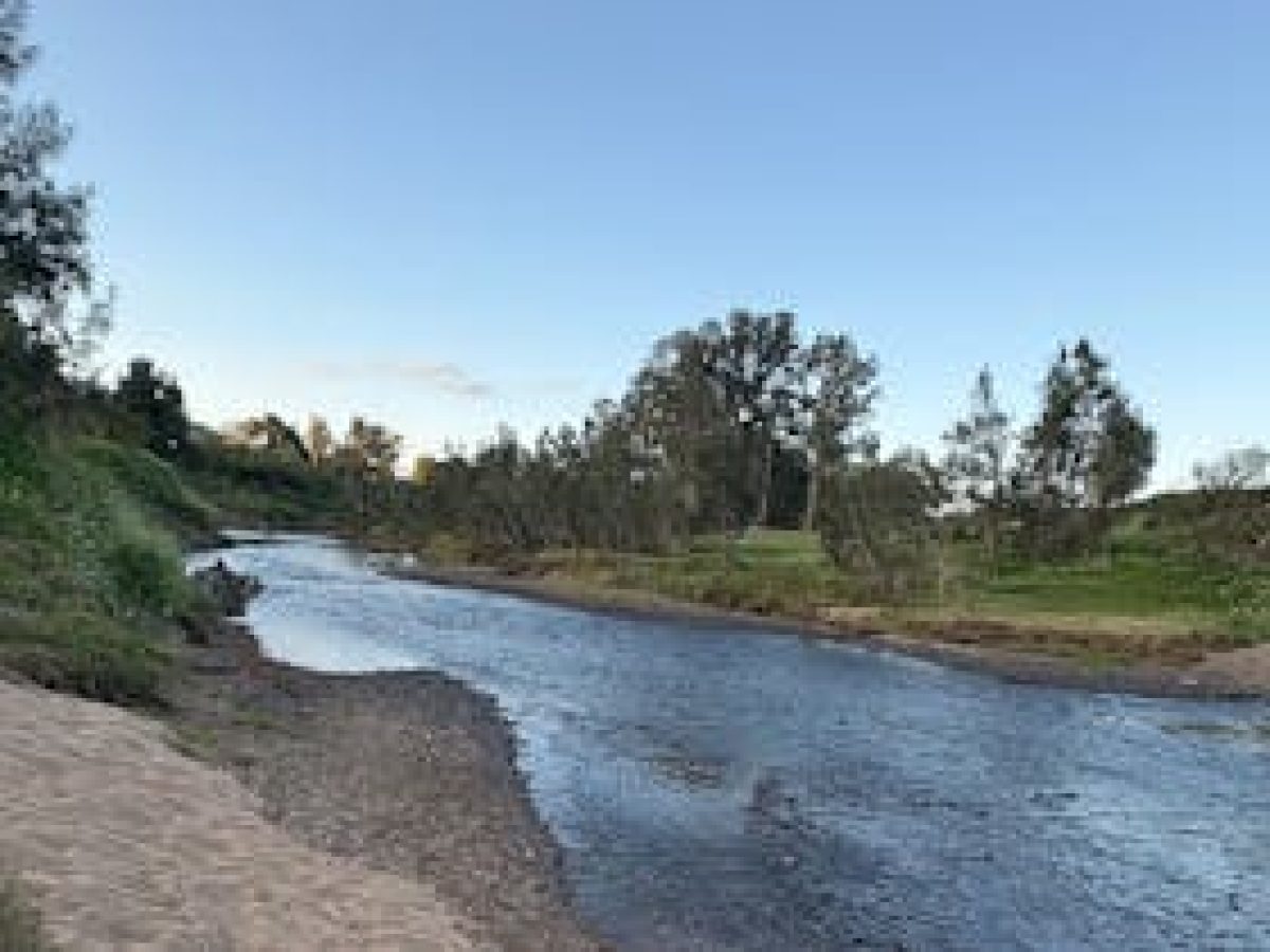 Moy Park Camping